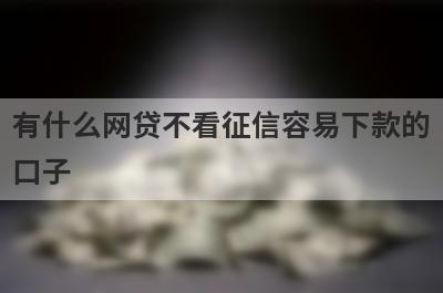 有什么网贷不看征信容易下款的口子？这些都比较不错，极速借款秒到账！