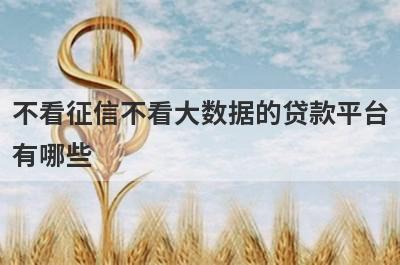 不看征信不看大数据的贷款平台有哪些？推荐5个超级黑户能借到钱放水口子