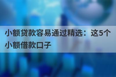 小额贷款容易通过精选：这5个小额借款口子，轻松借到急需资金！
