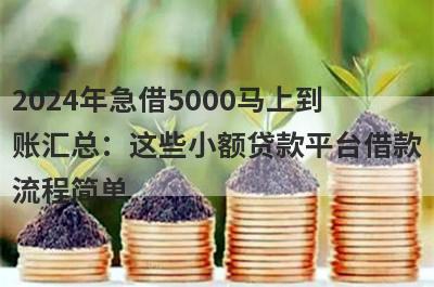 2024年急借5000马上到账汇总：这些小额贷款平台借款流程简单，放款快速！