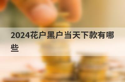 2024花户黑户当天下款有哪些？分享5个当天放款极速到账的平台