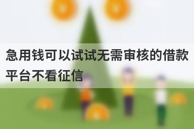 急用钱可以试试无需审核的借款平台不看征信，放款快速！