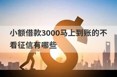 小额借款3000马上到账的不看征信有哪些？整理5个2024年小额贷款无征信
