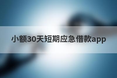 小额30天短期应急借款app（容易借款的小额贷）