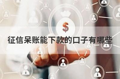 征信呆账能下款的口子有哪些？独家盘点征信不好秒下的平台