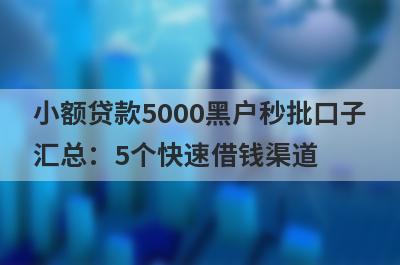 小额贷款5000黑户秒批口子
汇总：5个快速借钱渠道
