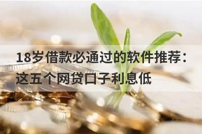 18岁借款必通过的软件推荐：这五个网贷口子利息低，秒下款！