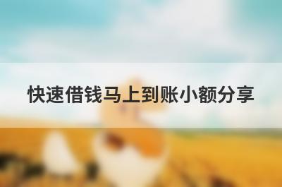 快速借钱马上到账小额分享，多个贷款平台分析，能借到钱秒到账！