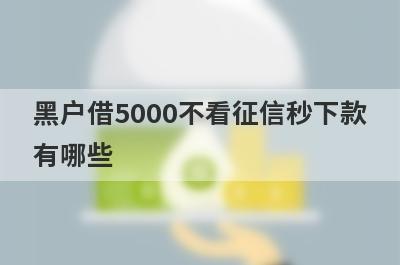 黑户借5000不看征信秒下款有哪些？分享5个100%能借到的平台