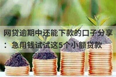 网贷逾期中还能下款的口子分享：急用钱试试这5个小额贷款！