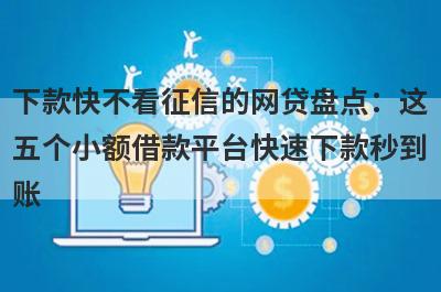 下款快不看征信的网贷盘点：这
五个小额借款平台快速下款秒到
账
