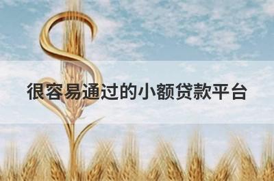 很容易通过的小额贷款平台 百分百过的小额贷款
