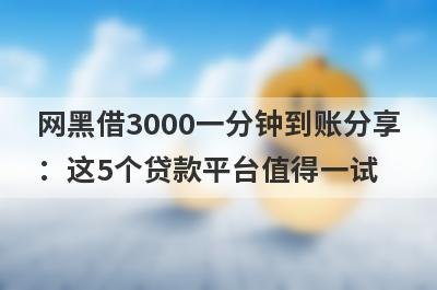 网黑借3000一分钟到账分享：这5个贷款平台值得一试！