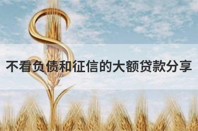 不看负债和征信的大额贷款分享，5个贷款便捷，秒到账的口子！