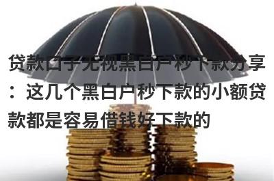 贷款口子无视黑白户秒下款分享：这几个黑白户秒下款的小额贷款都是容易借钱好下款的