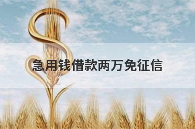 急用钱借款两万免征信 急用钱借款50000马上到账