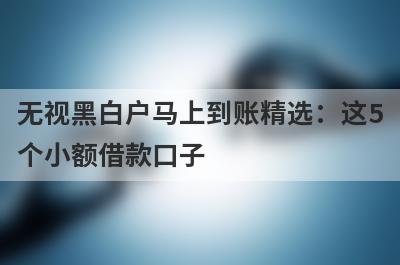 无视黑白户马上到账精选：这5
个小额借款口子
