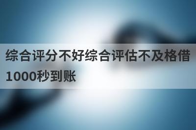 综合评分不好综合评估不及格借1000秒到账，整理5个必下款口子