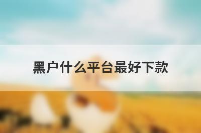 黑户什么平台最好下款？精选5个黑户必下款平台