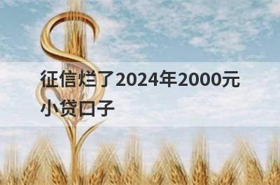 征信烂了2024年2000元小贷口子，分享5个征信烂了容易通过的平台