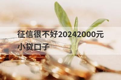 征信很不好20242000元小贷口子，分享5个征信很不好容易通过的平台