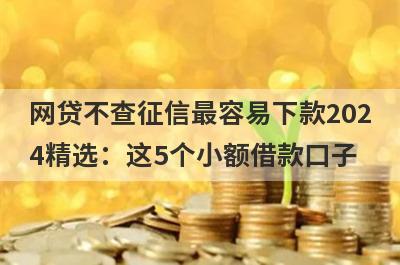 网贷不查征信最容易下款2024精选：这5个小额借款口子，轻松借到急需资金！