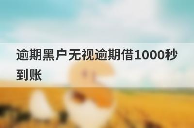 逾期黑户无视逾期借1000秒到账，整理5个必下款口子
