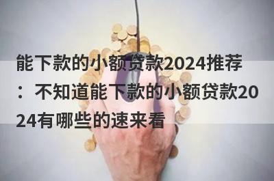 能下款的小额贷款2024推荐：不知道能下款的小额贷款2024有哪些的速来看！