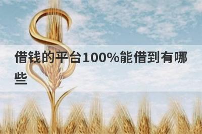 借钱的平台100%能借到有哪些？贷款免审放水的贷款口子