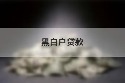 黑白户贷款，双黑烂户能下款的口子