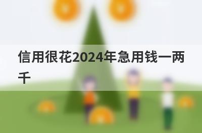 信用很花2024年急用钱一两千，试试这些小贷平台信用很花也能借