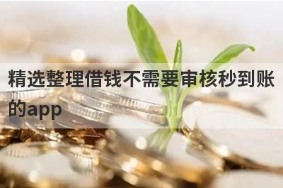 精选整理借钱不需要审核秒到账的app，这5个小额贷款平台更容易借款！