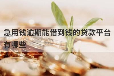 急用钱逾期能借到钱的贷款平台
有哪些
