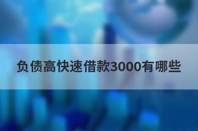 负债高快速借款3000有哪些？这几个负债高也能秒下3000