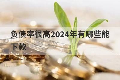 负债率很高2024年有哪些能下款？精选整理几个负债过高也能下款的平台