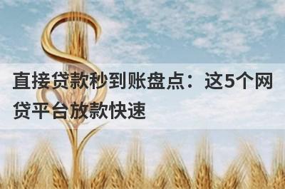 直接贷款秒到账盘点：这5个网贷平台放款快速，可以迅速解决资金需求！