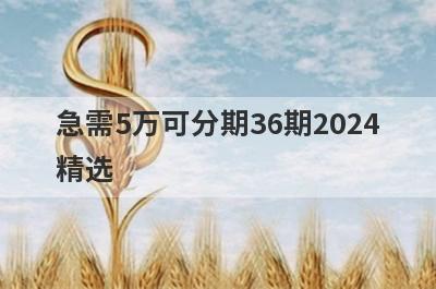 急需5万可分期36期2024精选 这些口子app当天放款极速到账