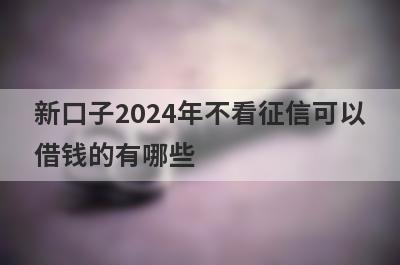 新口子2024年不看征信可以借钱的有哪些？整理5个不看征信必下款平台