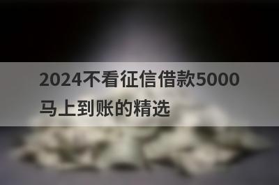 2024不看征信借款5000马上到账的精选 这些口子app很好通过
