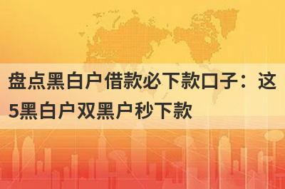 盘点黑白户借款必下款口子：这5黑白户双黑户秒下款