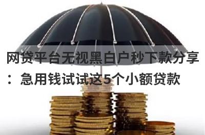 网贷平台无视黑白户秒下款分享：急用钱试试这5个小额贷款！