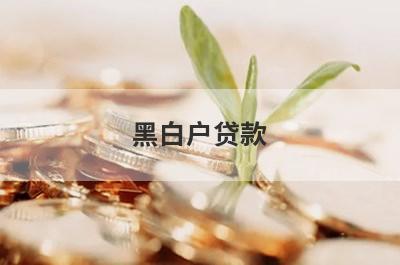 黑白户贷款，多家小额贷款平台全面解析，更好下款！