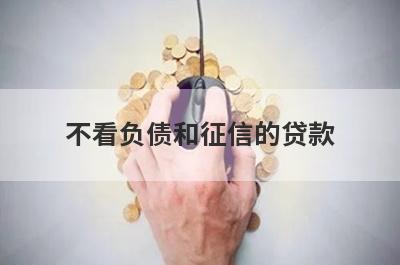 不看负债和征信的贷款
