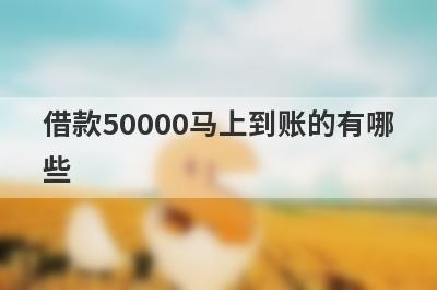 借款50000马上到账的有哪些？独家盘点5个黑户急需1万找私贷
