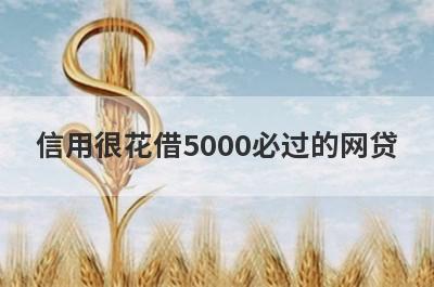 信用很花借5000必过的网贷 5个信用很花必下款口子