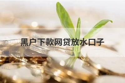 黑户下款网贷放水口子(新口子不看征信2024)