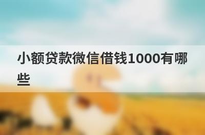 小额贷款微信借钱1000有哪些？这5个借款秒到账