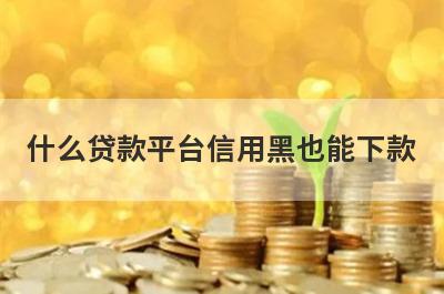 什么贷款平台信用黑也能下款？盘点几个2024信用黑能借的口子