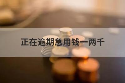 正在逾期急用钱一两千，试试这些小贷平台正在逾期也能借