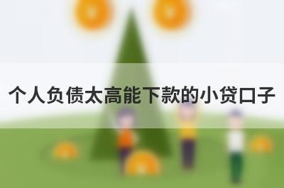 个人负债太高能下款的小贷口子